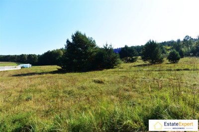 Atrakcyjna działka budowlana w Marzyszu blisko Kielc - Marzysz  -
świętokrzyskie Zdjęcie nr 3