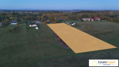 działka budowlana 7800m2 - Brudzów - Brudzów  -
świętokrzyskie Zdjęcie nr 4