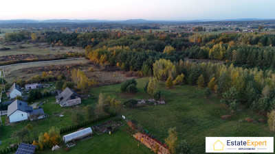 działka budowlana 7800m2 - Brudzów - Brudzów  -
świętokrzyskie Zdjęcie nr 7