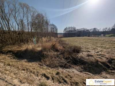 Działka rolno- budowlana w Klonowie gm Łaczna - Klonów  -
świętokrzyskie Zdjęcie nr 8