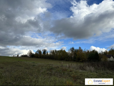 Działka budowlana 1300m2   3800m2 grunty orneWiąckaGmina Bodzentyn -  Wiącka  -
świętokrzyskie Zdjęcie nr 4