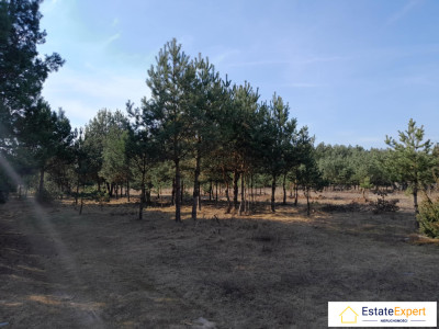 Atrakcyjna działka rolno budowlana Niwy koło Daleszyc - Niwy  - świętokrzyskie