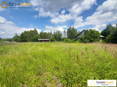 Działka budowlana w Zaleziance gm łaczna - Zalezianka  -
świętokrzyskie Zdjęcie nr 7