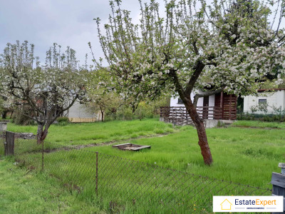 Działka ROD Narcyz Leśniówka rekreacyjna altanka taras prąd i woda - kielecki  -
świętokrzyskie Zdjęcie nr 14