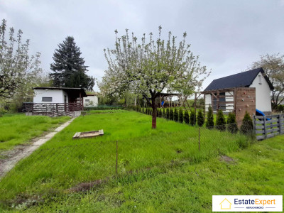 Działka ROD Narcyz Leśniówka rekreacyjna altanka taras prąd i woda - kielecki  - świętokrzyskie