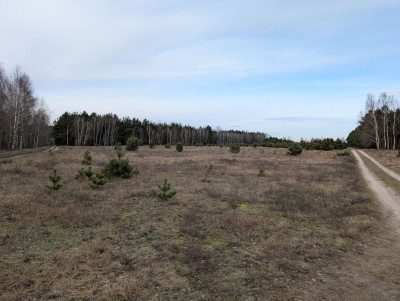 Na sprzedaż działka budowlana - Rynarzewo -
kujawsko-pomorskie Zdjęcie nr 11
