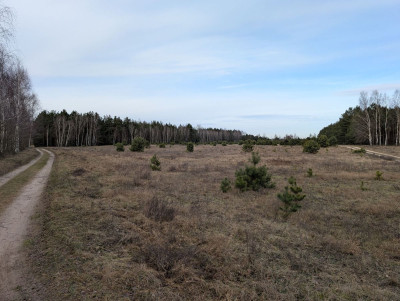 Na sprzedaż działka budowlana - Rynarzewo -
kujawsko-pomorskie Zdjęcie nr 8