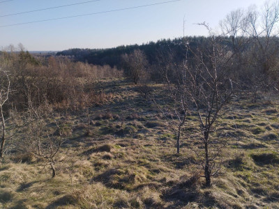 Na sprzedaż działka inwestycyjna - Grabowo -
warmińsko-mazurskie Zdjęcie nr 13