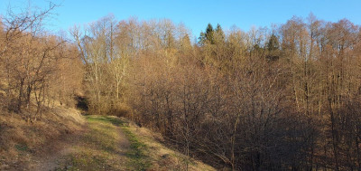 Na sprzedaż działka inwestycyjna - Grabowo -
warmińsko-mazurskie Zdjęcie nr 6