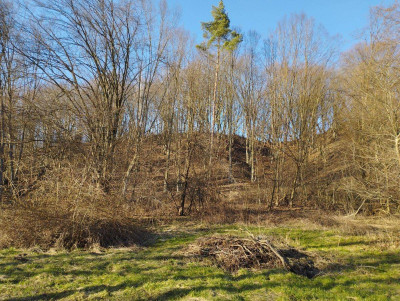 Na sprzedaż działka inwestycyjna - Grabowo -
warmińsko-mazurskie Zdjęcie nr 7