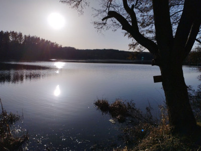 Na sprzedaż działka inwestycyjna - Grabowo -
warmińsko-mazurskie Zdjęcie nr 8