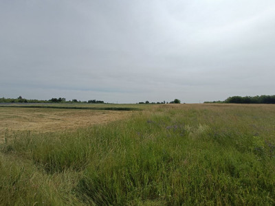 Twój dom w zielonej okolicy nowe osiedle i droga - Tąpkowice  -
Śląskie Zdjęcie nr 12