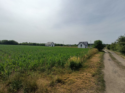 Twój dom w zielonej okolicy nowe osiedle i droga - Tąpkowice  -
Śląskie Zdjęcie nr 2