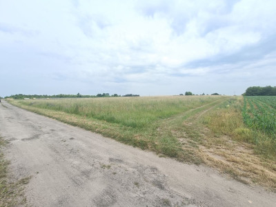 Twój dom w zielonej okolicy nowe osiedle i droga - Tąpkowice  -
Śląskie Zdjęcie nr 3