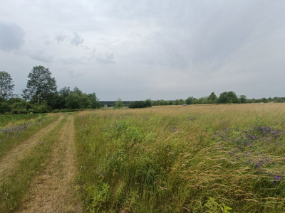 Twój dom w zielonej okolicy nowe osiedle i droga - Tąpkowice  -
Śląskie Zdjęcie nr 9