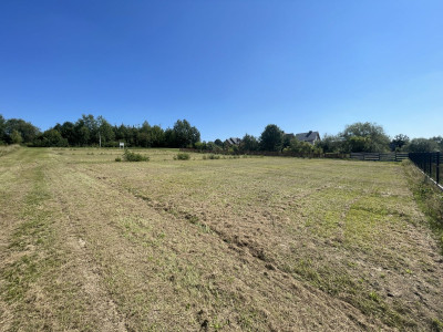 MPZP  Media w działce  Asfaltowa droga  Prostok - Koziel  -
Świętokrzyskie Zdjęcie nr 12