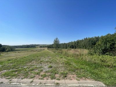 MPZP  Media w działce  Asfaltowa droga  Prostok - Koziel  -
Świętokrzyskie Zdjęcie nr 3