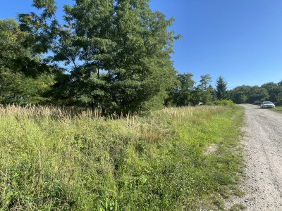 WZMediaPrzy rzece Czarna NidaProstokątnaPłask - Siedlce  -
Świętokrzyskie Zdjęcie nr 5