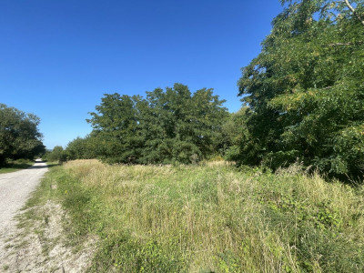 WZMediaPrzy rzece Czarna NidaProstokątnaPłask - Siedlce  -
Świętokrzyskie Zdjęcie nr 6