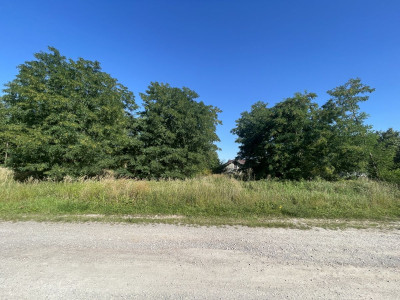 WZMediaPrzy rzece Czarna NidaProstokątnaPłask - Siedlce  -
Świętokrzyskie Zdjęcie nr 7