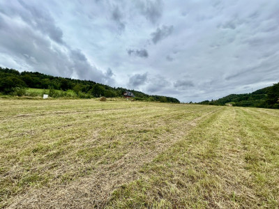 WidokowaMediaMożliwość zakupu całości4 działki - Laskowa  -
Małopolskie Zdjęcie nr 6