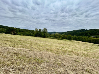 WidokowaMediaMożliwość zakupu całości4 działki - Laskowa  -
Małopolskie Zdjęcie nr 8