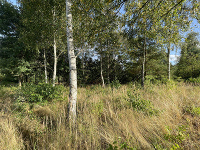 WZ  Media  Zalew w Suchedniowie  Kamionka  Dro - Ostojów  -
Świętokrzyskie Zdjęcie nr 11