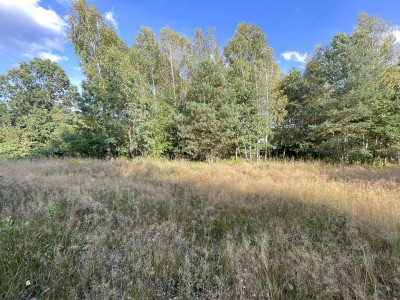 WZ  Media  Zalew w Suchedniowie  Kamionka  Dro - Ostojów  -
Świętokrzyskie Zdjęcie nr 12