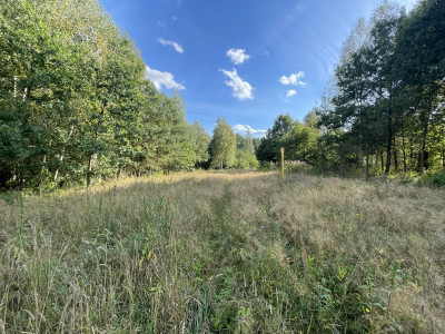 WZ  Media  Zalew w Suchedniowie  Kamionka  Dro - Ostojów  -
Świętokrzyskie Zdjęcie nr 2