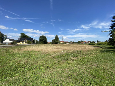 Działki 10min od Zatora Atrakcyjna cena - Zator  - Małopolskie