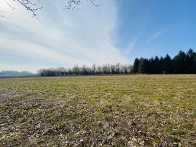  Położenie na wzniesieniu  Media w sąsiedztwie  - Głębowice  -
Małopolskie Zdjęcie nr 8