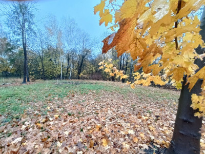 I Działka na budowe domu ilub pod inwestycje dewe - Zabrze  -
Śląskie Zdjęcie nr 13