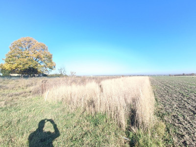 Połączenie terenów zielonych z świetną komunikacją - Gliwice  -
Śląskie Zdjęcie nr 12