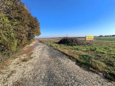 Połączenie terenów zielonych z świetną komunikacją - Gliwice  -
Śląskie Zdjęcie nr 14