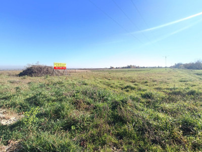 Połączenie terenów zielonych z świetną komunikacją - Gliwice  - Śląskie