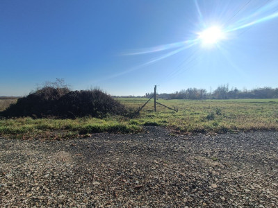 Połączenie terenów zielonych z świetną komunikacją - Gliwice  -
Śląskie Zdjęcie nr 4