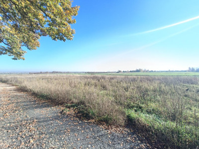 Połączenie terenów zielonych z świetną komunikacją - Gliwice  -
Śląskie Zdjęcie nr 5