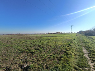 Połączenie terenów zielonych z świetną komunikacją - Gliwice  -
Śląskie Zdjęcie nr 7