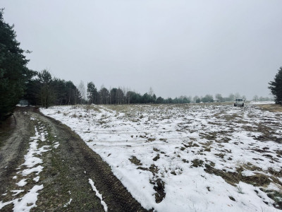 WZ  Media  Droga gminna  Prostokąt  Zalew w Ra - Wólka  -
Świętokrzyskie Zdjęcie nr 12