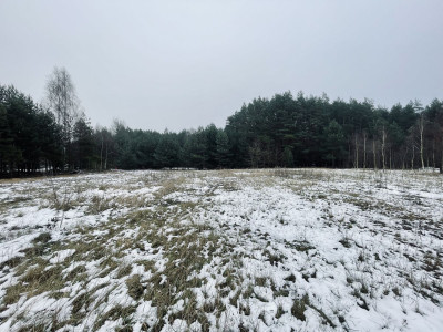 WZ  Media  Droga gminna  Prostokąt  Zalew w Ra - Wólka  -
Świętokrzyskie Zdjęcie nr 13