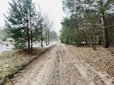 WZ  Media  Droga gminna  Prostokąt  Zalew w Ra - Wólka  -
Świętokrzyskie Zdjęcie nr 7