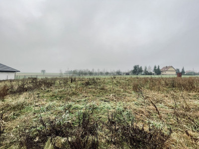 WZ  Media  Prostokąt  Płaska  Droga utwardzona - Ignacówka  -
Świętokrzyskie Zdjęcie nr 10