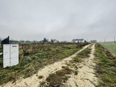 WZ  Media  Prostokąt  Płaska  Droga utwardzona - Ignacówka  -
Świętokrzyskie Zdjęcie nr 14