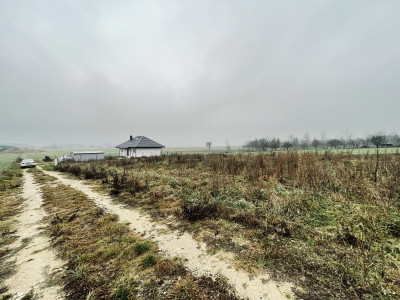 WZ  Media  Prostokąt  Płaska  Droga utwardzona - Ignacówka  -
Świętokrzyskie Zdjęcie nr 9