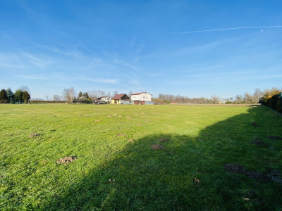 Widok na Beskidy  1km do DK 81  6km Skoczów  12 - Ochaby Wielkie  -
Śląskie Zdjęcie nr 12