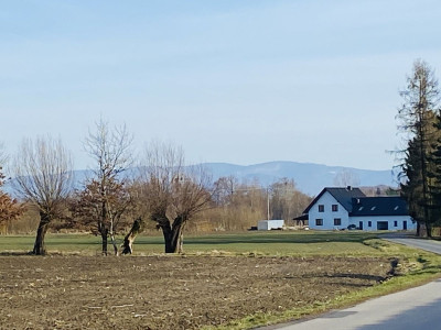 Widok na Beskidy  1km do DK 81  6km Skoczów  12 - Ochaby Wielkie  -
Śląskie Zdjęcie nr 14