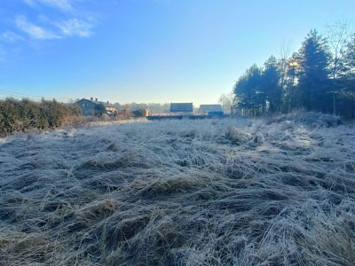 Idealny kształt i powierzchnia  100 metrów od las - Orzesze  -
Śląskie Zdjęcie nr 14