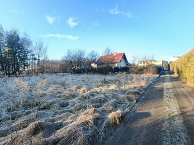 Idealny kształt i powierzchnia  100 metrów od las - Orzesze  -
Śląskie Zdjęcie nr 2