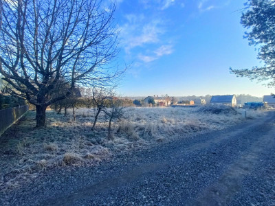 Idealny kształt i powierzchnia  100 metrów od las - Orzesze  -
Śląskie Zdjęcie nr 4