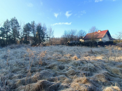 Idealny kształt i powierzchnia  100 metrów od las - Orzesze  -
Śląskie Zdjęcie nr 8